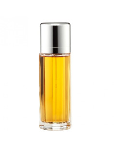 ESCAPE EAU PARFUM VAPO      100 ML