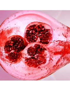 ESTÉE LAUDER - Nutritious Super-Pomegranate Lotion Pré-Soin Energisante Hydratationlumière 2