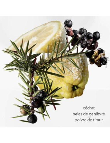 Hermès Terre d'Hermès Eau Givrée