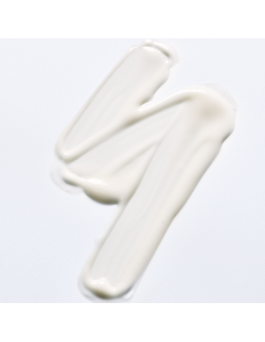 SISLEY - Phyto Blanc Le Correcteur Taches