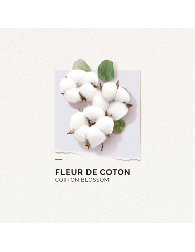 SOLINOTES - Fleur De Coton Eau De Parfum