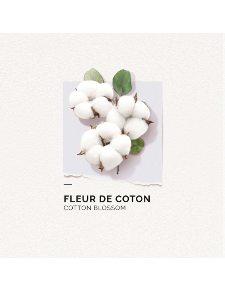 SOLINOTES - Fleur De Coton Eau De Parfum
