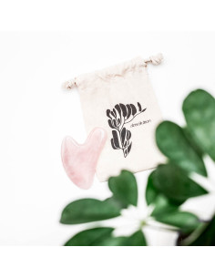ABSOLUTION - Le Gua Sha 2