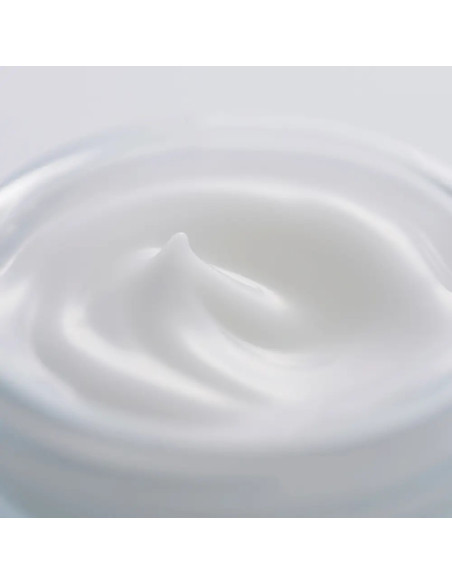 SENSAI - Cellular Performance Fresh Cream 40Ml