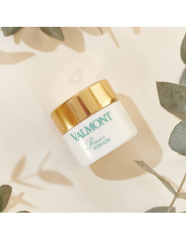 VALMONT - Primary Pomade Cire Nourrissante