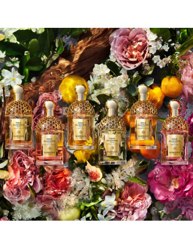 GUERLAIN - Aqua Allegoria Forte Nerolia Vetiver – Eau De Parfum