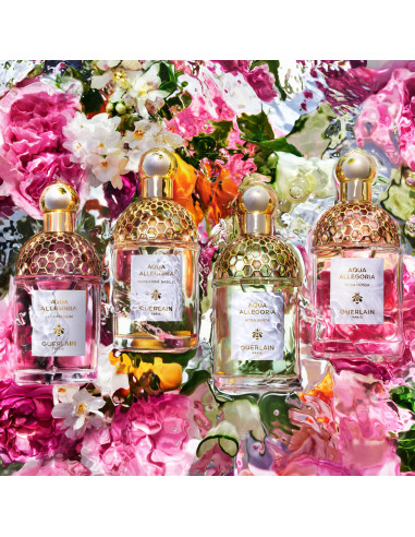 GUERLAIN - Aqua Allegoria Bergamote Calabria - Eau De Toilette