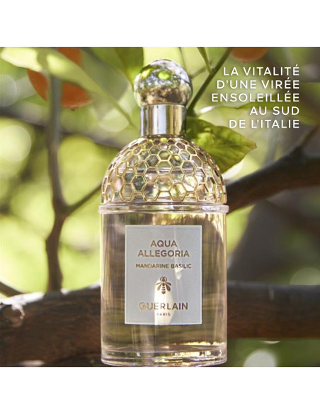 GUERLAIN - Aqua Allegoria Mandarine Basilic - Eau De Toilette