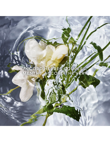 GUERLAIN - Aqua Allegoria Herba Fresca - Eau De Toilette