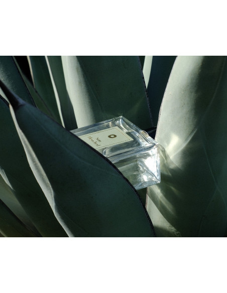 UNE NUIT NOMADE - Sun Bleached Eau De Parfum