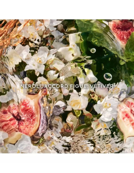 GUERLAIN - Aqua Allegoria Nerolia Vetiver - Eau De Toilette