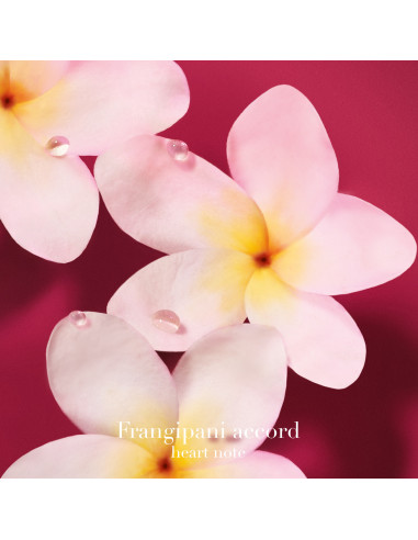 Giorgio Armani Power of You Eau de Parfum florale ambrée femme