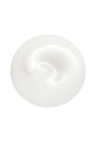 SHISEIDO - Revitalisant Total Fluide Léger Revitalisant Soins Homme