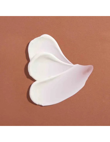 ABSOLUTION - Le Masque Riche Réconfortant Masque Visage - Hydratation Intense