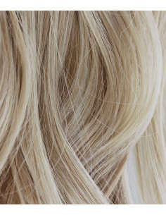 VEGETAL ORIGIN - Shampoing Déjaunisseur Platine Shampoing Déjaunisseur - Platine Polaire 2