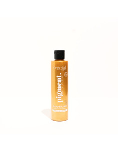 VEGETAL ORIGIN - Shampoing Colorant Blond Shampoing Colorant Blond Soleil