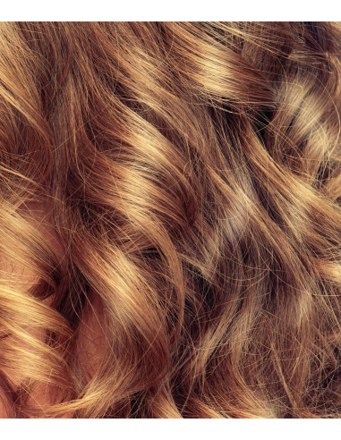 VEGETAL ORIGIN - Shampoing Colorant Blond Shampoing Colorant Blond Soleil