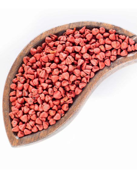 VEGETAL ORIGIN - Shampoing Colorant Cuivré Intense Shampoing Colorant Cuivré