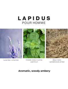 Ted Lapidus Lapidus pour Homme Eau de Toilette parfum masculin 2