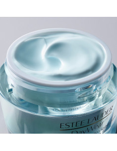ESTÉE LAUDER - Daywear Daywear - Crème Hydratation 24H 2