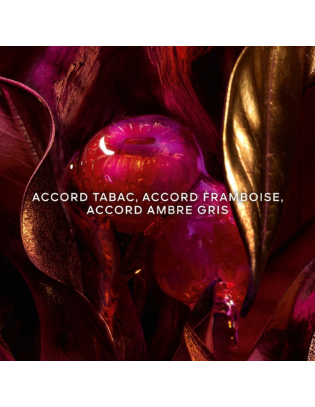 Guerlain Tabac Sahara Absolus Allegoria
