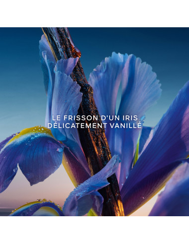 Savon Parfume L'Heure Bleue Guerlain Corps