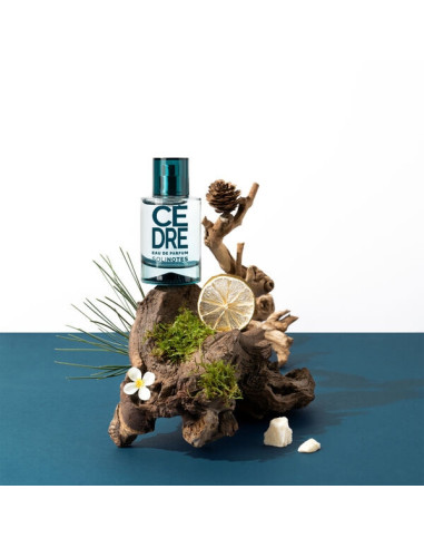 SOLINOTES - Cèdre Eau De Parfum