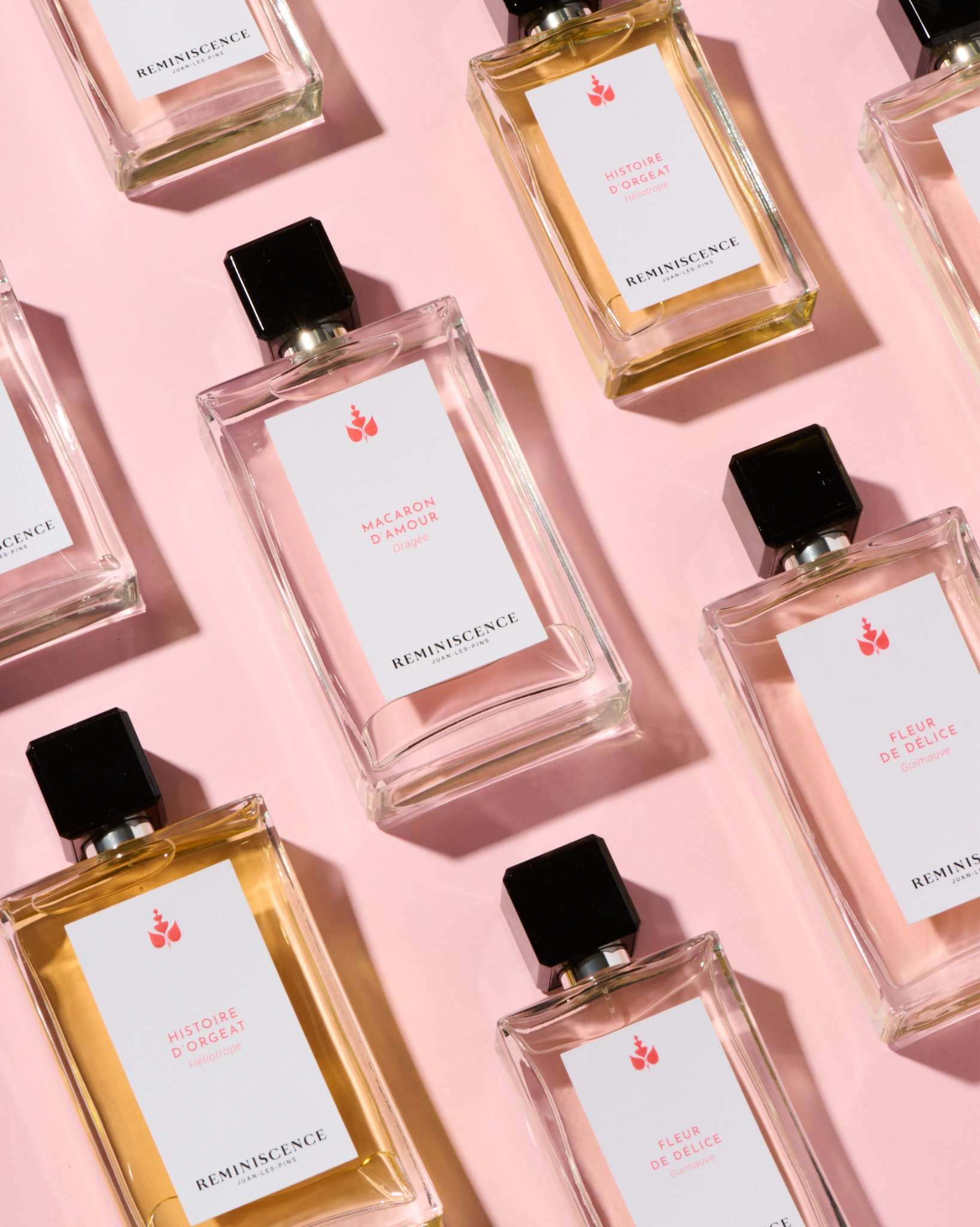 Gamme innocence de Reminiscence